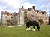 Image of shire horse grazing outside Chawton House